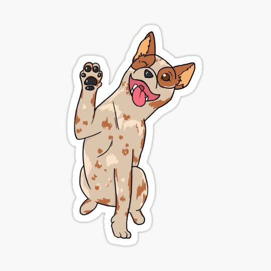 Discover Red Heeler