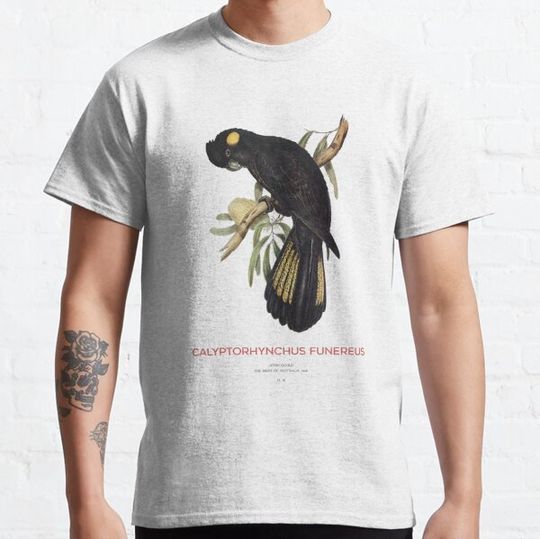 Discover Yellow-tailed black cockatoo or Calyptorhynchus funereus