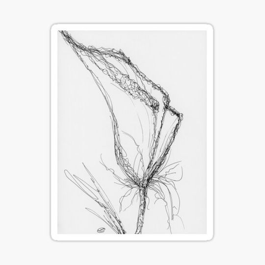 Discover Abstract Calla Lily, line art, line flowers