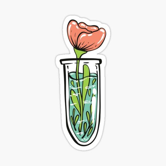 Discover Test Tube With Water And A Rose Inside