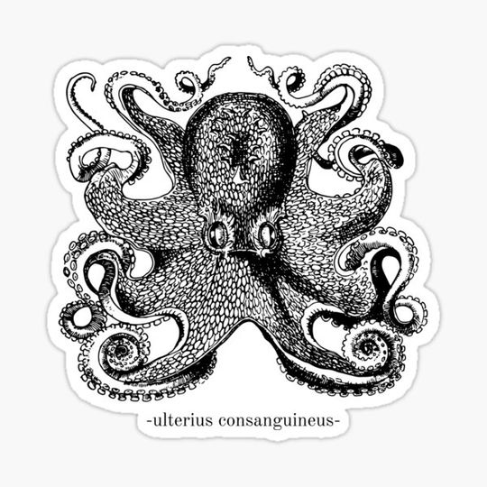 Discover distant cousin. 4