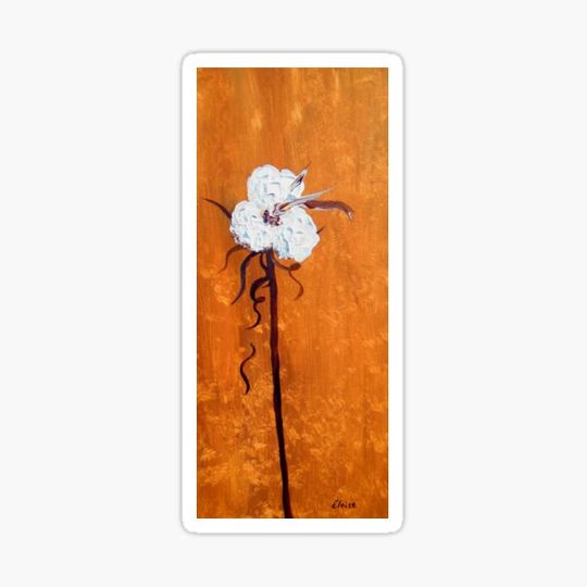 Discover Solitary Cotton
