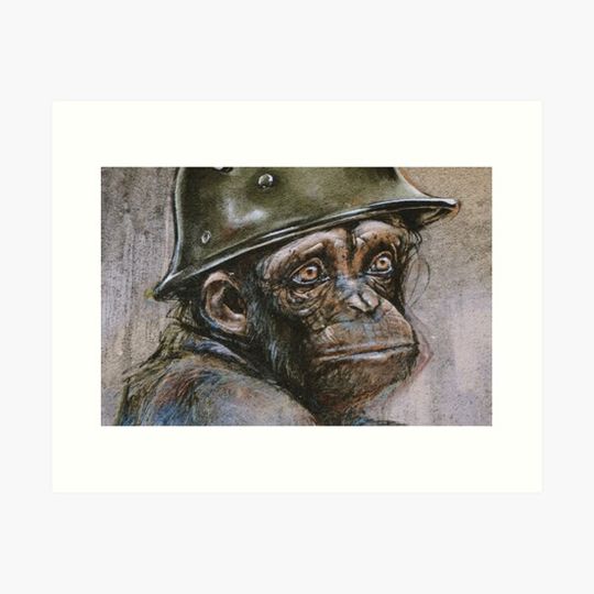 Discover Do not feed the monkey mind