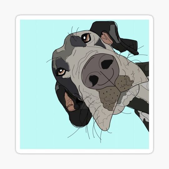 Discover Great Dane In Your Face (teal) Canvas Print