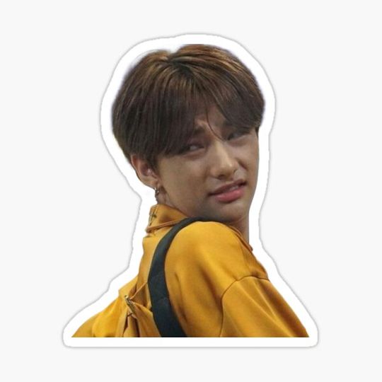 Discover Hwang Hyunjin Funny Face Meme Stray Kids