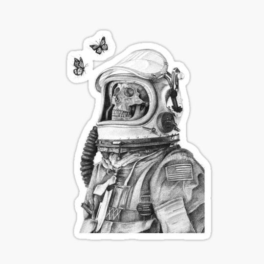 Discover Butterflies in Space