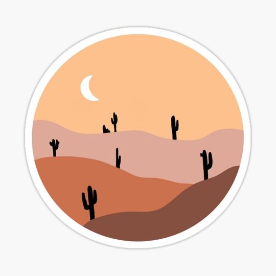Discover night in the desert