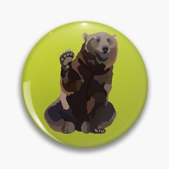 Discover B is for Brown Bear