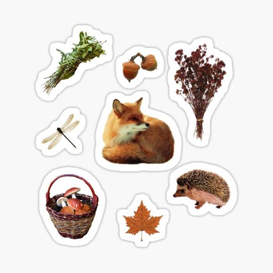 Discover forest aesthetic pack set