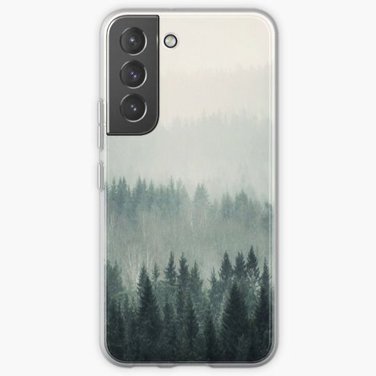 Discover Misty Winter Pine Forest