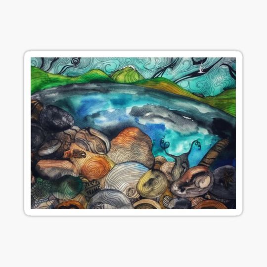Discover Rock Pool