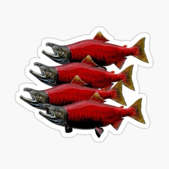 Discover The Spawning