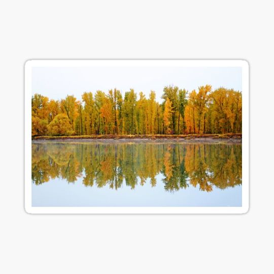 Discover Reflections of Autumn