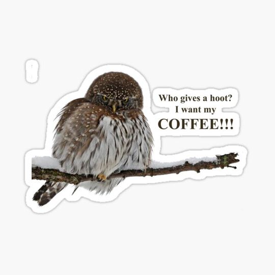 Discover Who Gives a Hoot......