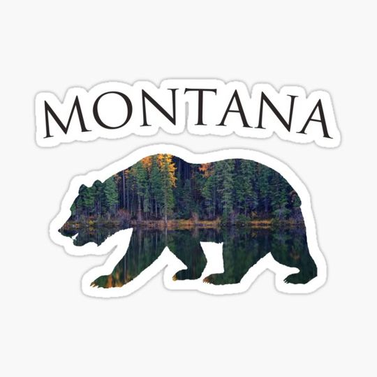 Discover Montana- Forest Bear