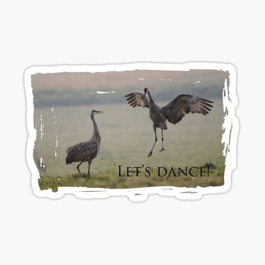 Discover Let's Dance