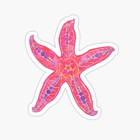 Discover Starfish
