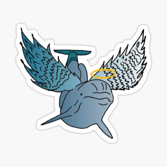 Discover The Inspiration Dolphin Angel Edition