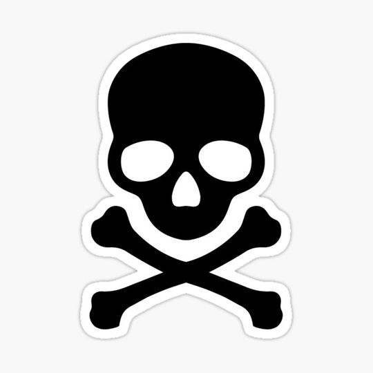 Discover skull