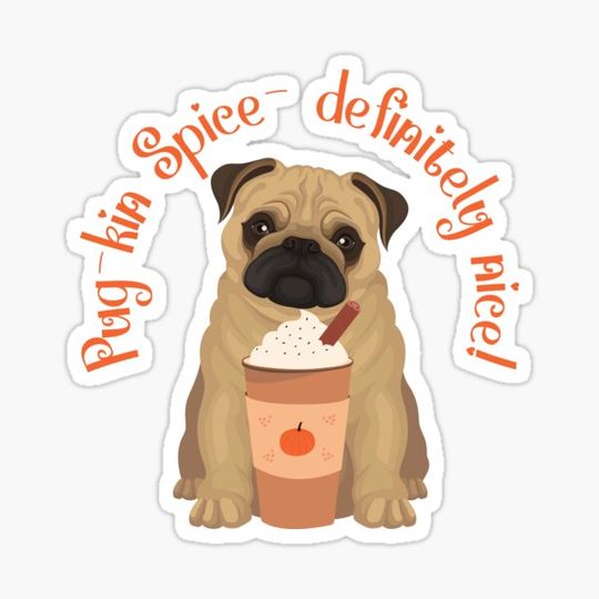 Discover Pug-kin Spice!