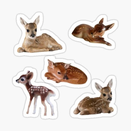 Discover fawn sticker pack