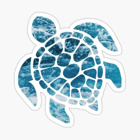 Discover Ocean Sea Turtle