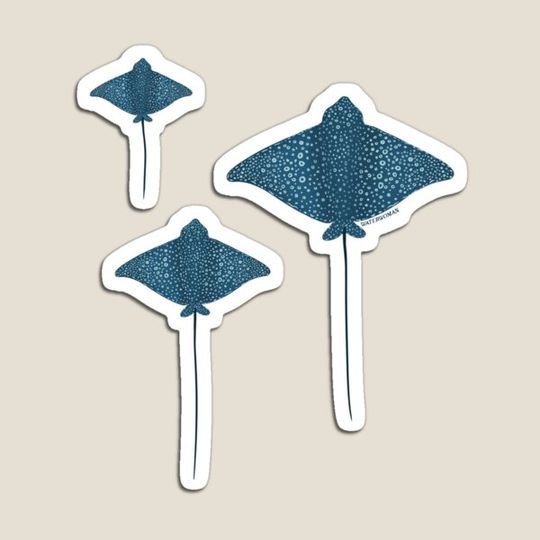 Discover Eagle Ray Individual