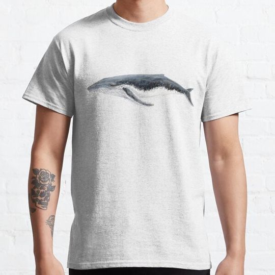 Discover Humpback whale Megaptera novaeangliae