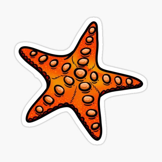 Discover Starfish