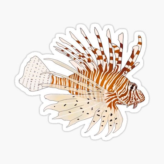 Discover Lionfish