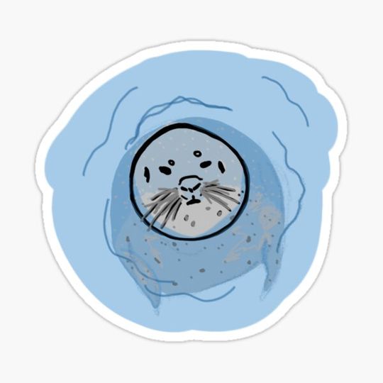 Discover Seal Boi