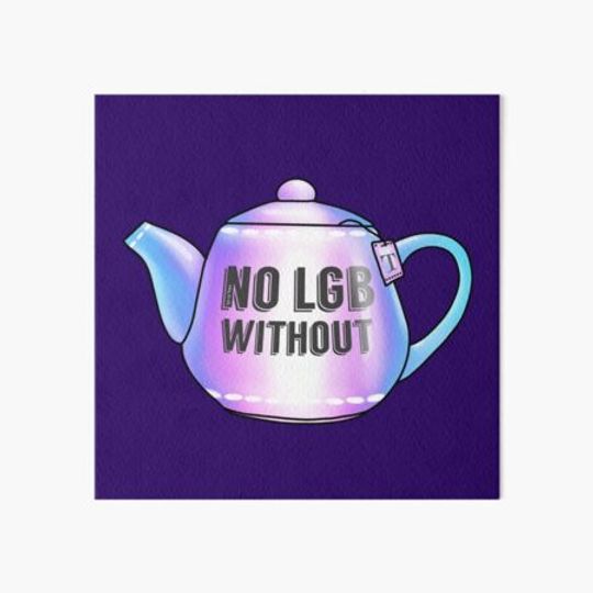 Discover No LGB without the T