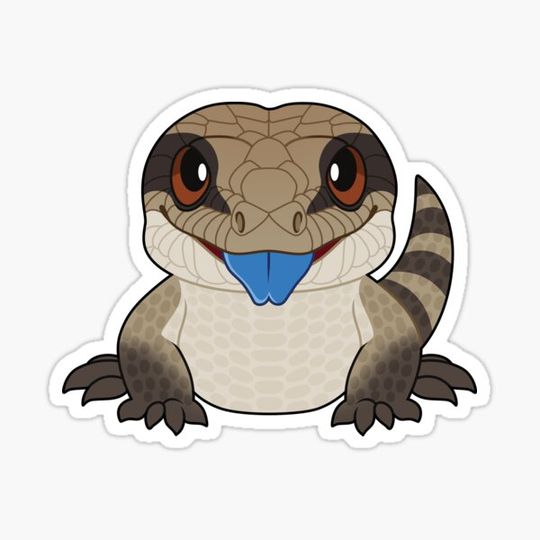 Discover Blue Tongue Skink