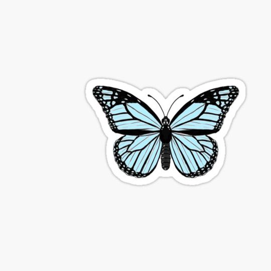 Discover Blue Butterfly
