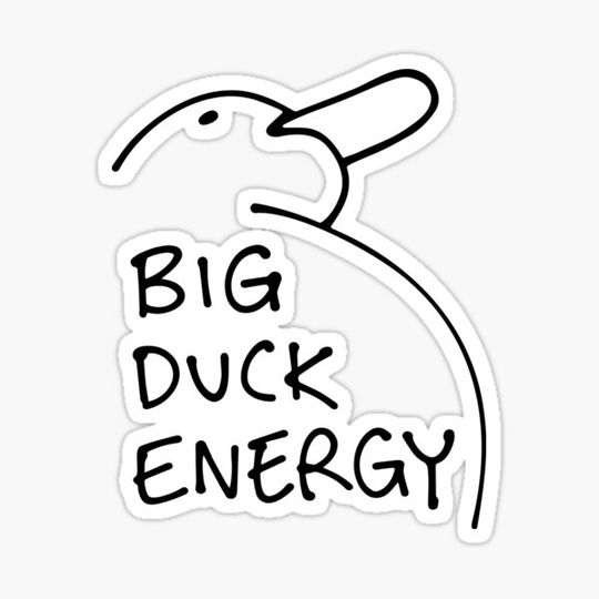 Discover BIG DUCK ENERGY