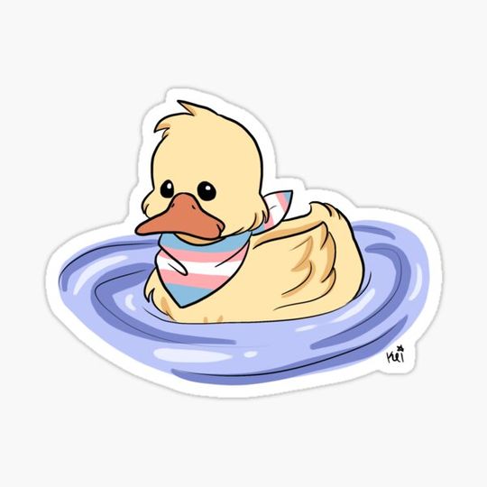 Discover Trans duck