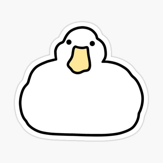 Discover Cute White Duck