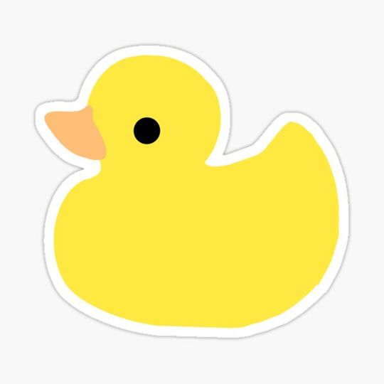 Discover rubber duck