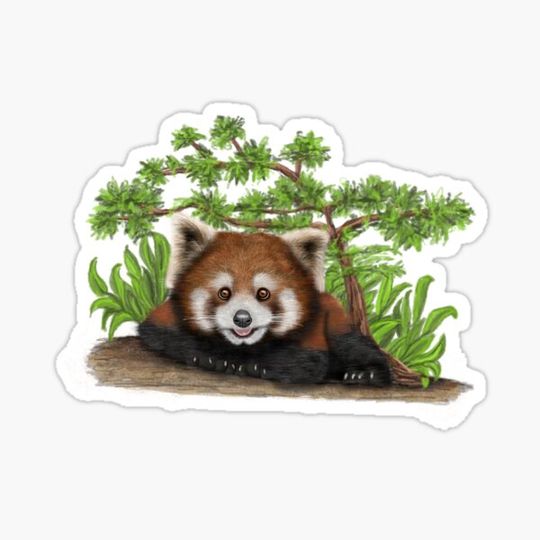 Discover Cute Cartoon Red Panda Digital Painting