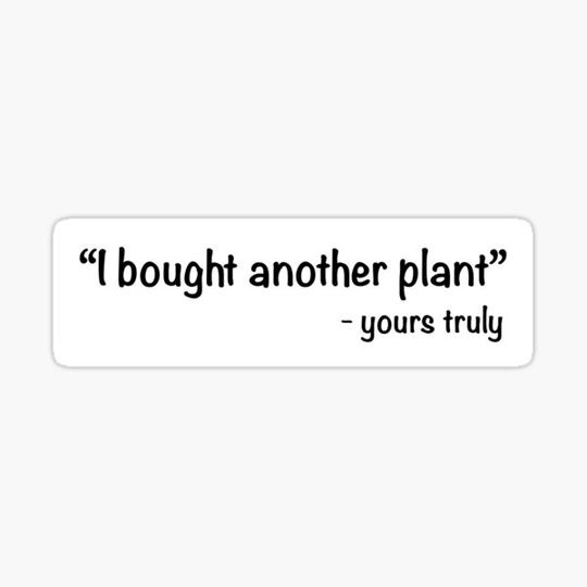 Discover I bought another plant
