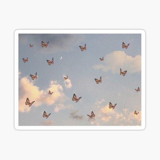 Discover butterfly clouds