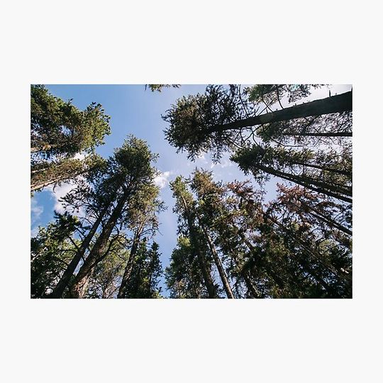 Discover Dont look up