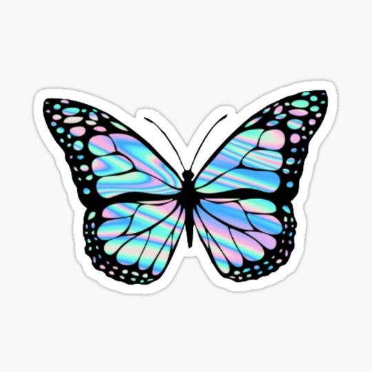 Discover holographic butterfly