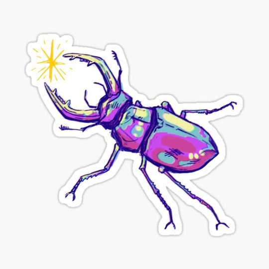 Discover RAINBOW STAG BEETLE