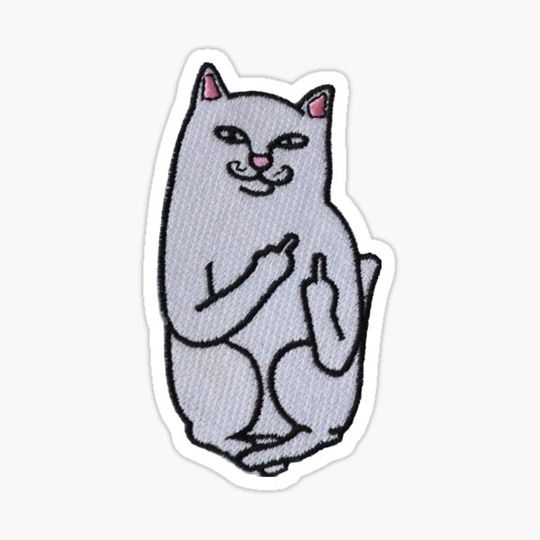 Discover Cat Sticker