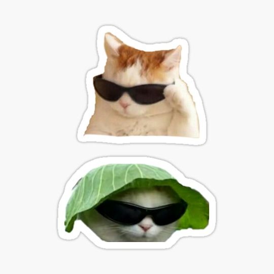 Discover cool cat sunglasses stickers pack