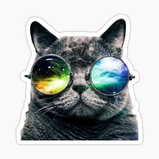 Discover Cat with glasses.