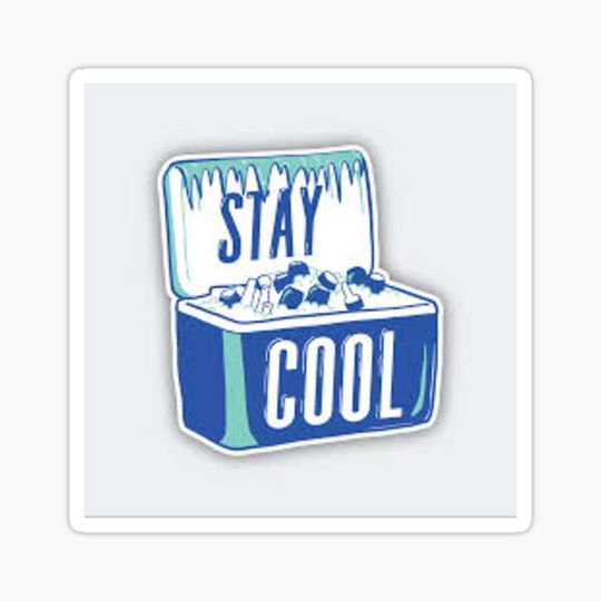 Discover stay cool sticker