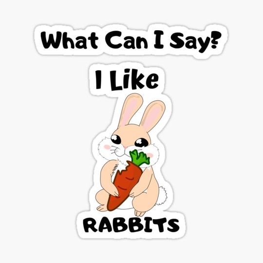 Discover What Can I Say? I Like Rabbits Design