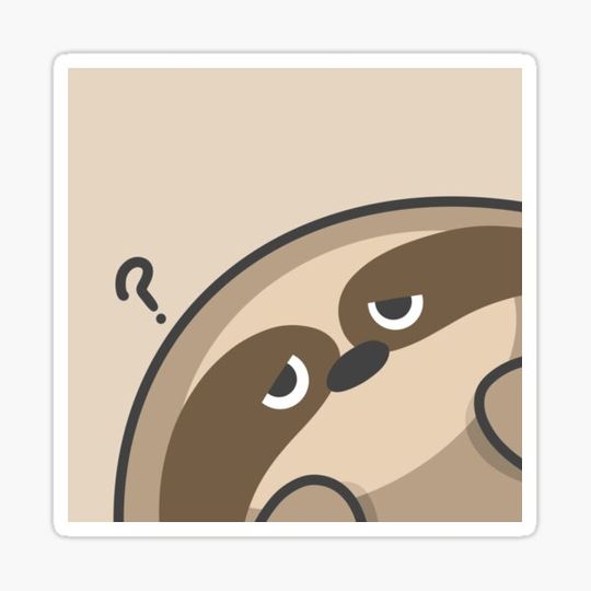 Discover Soy the Curious Sloth
